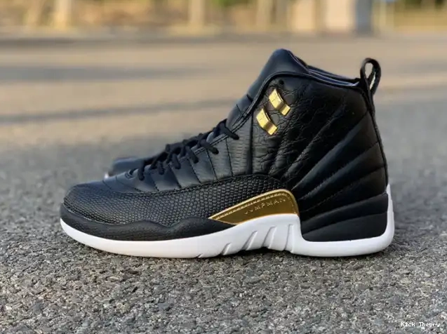 Black 'Reptile' Air Jordan Metallic Retro Gold-White AO6068-007 12 0605